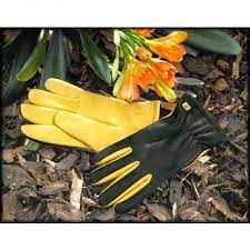 Waterproof Gardening Gloves Garden Divas
