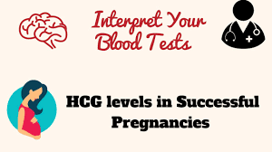 Blood Pregnancy Test Hcg Levels How Soon Can A Blood Test
