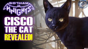 gotham knights belfry cat catwoman