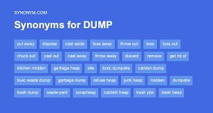 another word for dump synonyms antonyms