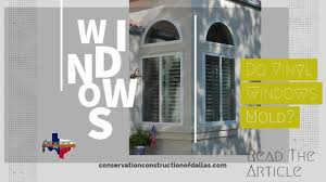 do vinyl windows mold conservation