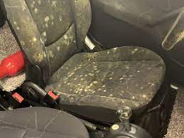 car interior into a toxic mold disaster