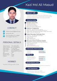 professional resume and bio data