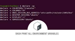 bash print all environment variables