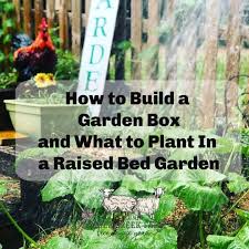 How To Build A Garden Box And What To