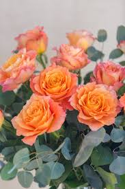 free spirit roses simply beautiful