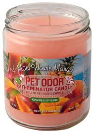 Odor exterminator candle is packed with powerful enzymes that attack and exterminate pet odors. Pet Odor Exterminator Candle Maui Wowie Mango Jeffers Pet