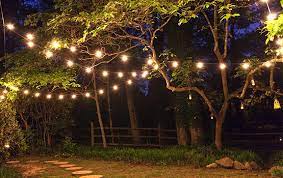 patio and party lights
