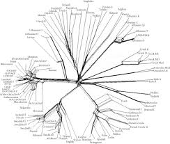 Phylogenetic And Areal Models Of Indo European Relatedness