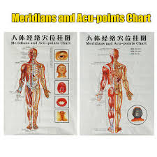 3 Poster Charts Acupuncture Human Body Charts Meridians And