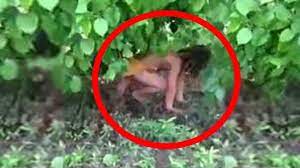 Gerçek Hayatta Var Olan 3 Tarzan - YouTube