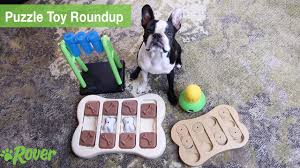 We did not find results for: Best Puzzle Toys Top Interactive Toys To Keep Dogs Busy