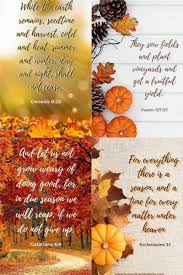 free fall scripture wallpapers for