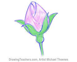 how to draw a rosebud