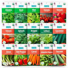 back to the roots organic garden essentials vegetable seeds variety 15 pack