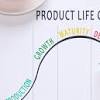 Assignment Product Life Cycle