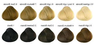 Unfolded Clairol Professional Hair Color Chart Pdf Clairol