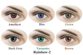 A lens is a piece of transparent material, usually circular in. Buy Sparkle Contact Lens 12 Units Rainbow2 Online At Low Prices In India Amazon In