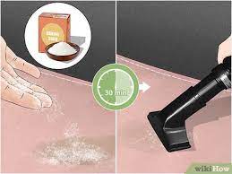 how to remove vomit smell from your car