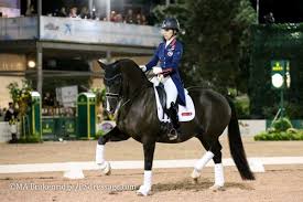 Now give it a shake and it turns into a christmas wonderland, where ponies prance, jumpers leap, and elves cavort around christmas trees. Dressage Legend Valegro Retires At Cdi W London Olympia Horse Show Ps Dressage