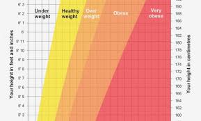 Body Weight Flow Charts