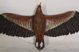 Wedge Tailed Eagle Life Size Statue
