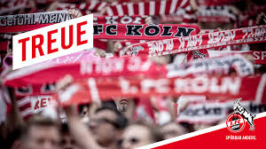 Fc köln is a football club that is from cologne, germany.the 1. 1 Fc Koln Wallpaper