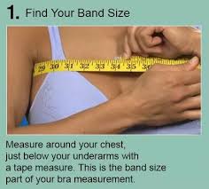 How Does Hanes Measure Bra Sizes Quora