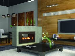 Gas Fireplaces Contemporary Home