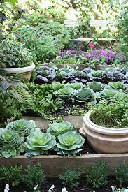 vegetable gardening in florida series