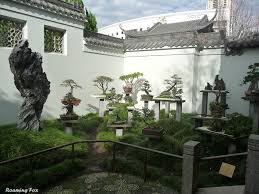 Teahouse In A Chinese Garden In Sydney