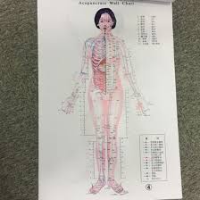 Chinese Medical Acupuncture Points Charts 7 Pieces Set