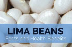lima bean facts health benefits and