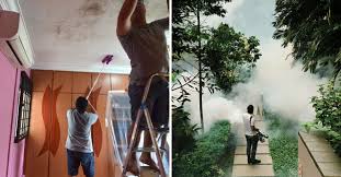 home mold removal services in singapore