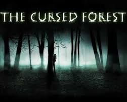 The forest is one of the most frightening and terrifying horror survival games of recent years, and one that will leave you on the edge of your seat. The Cursed Forest Pc Game Free Download Freegamesdl