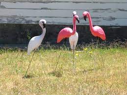 Garten flamingo, die auf der website verfügbar sind, bestehen aus robusten materialien, die eine dauerhafte leistung und eine bessere nachhaltigkeit bei allen wetterbedingungen gewährleisten. Gartenflamingo Wikipedia