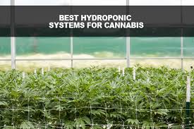 best hydroponic systems for cal