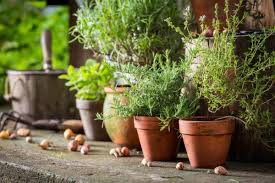 50 Quick And Easy Herb Garden Ideas