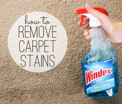 how to remove carpet stains with