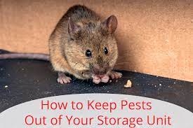 keep pests out of your storage unit