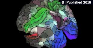 Updated Brain Map Identifies Nearly 100 New Regions - The New ...