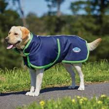 Weatherbeeta Comfitec Parka 1200d Deluxe Dog Coat
