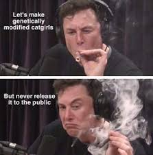 Read this elon musk memes to know about the advice billie ellish, a popular american teenage singer, gave elon musk while he was crying. Elon Musk Smoking Weed Meming Wiki