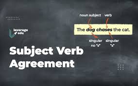 So, what we really need to. Subject Verb Agreement Rules Exercises Worksheets Leverage Edu