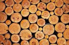 Newest oldest price ascending price descending relevance. Firewood Logs Special Offer 5 Off Buy Now Tree Nursery Uk