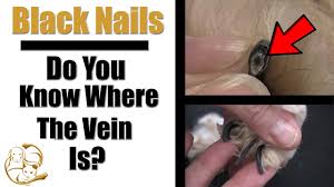 how to cut black nails locating the