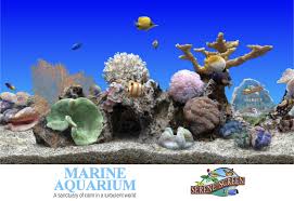serene marine aquarium screensaver free
