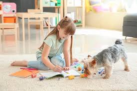 carpet cleaning in twin falls rugs