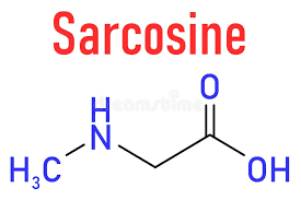 Sarcosine N-methylglycine Molecule. Skeletal Formula Stock Vector -  Illustration of prostate, sarcosine: 233609504