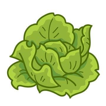 Lettuce Cartoon Images – Browse 121,729 Stock Photos, Vectors, and Video | Adobe Stock